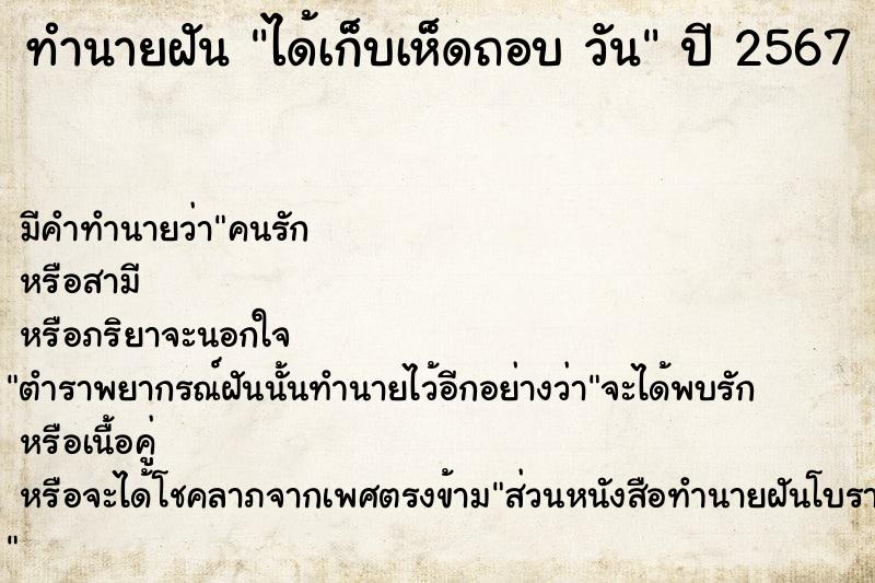 ทำนายฝันทำนายฝันได้เก็บเห็ดถอบวัน